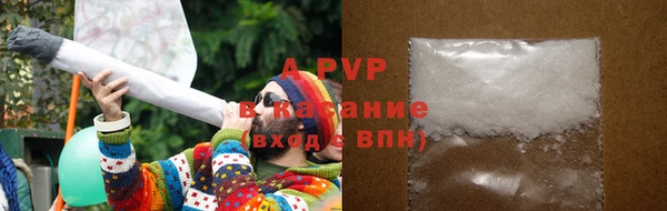 крисы Бугульма