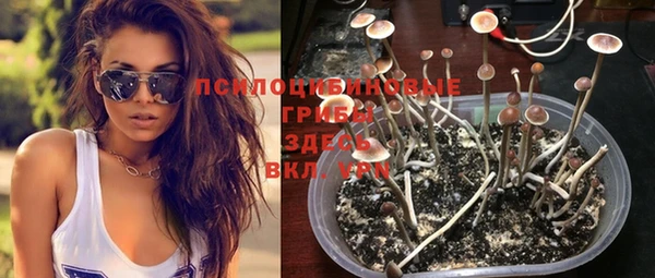 герыч Бронницы