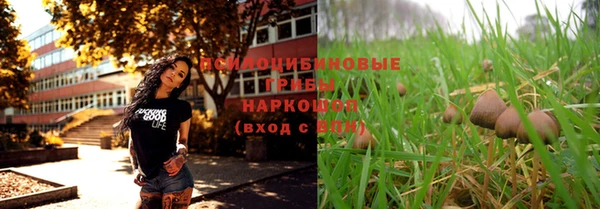 МДМА Бородино