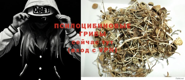 крисы Бугульма