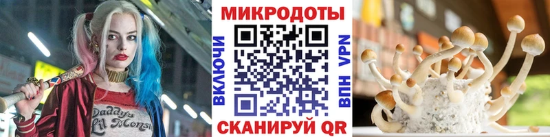 Галлюциногенные грибы ЛСД  Межгорье 